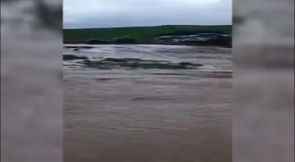 Aksaray'da yoğun yağış nedeniyle dereler taştı