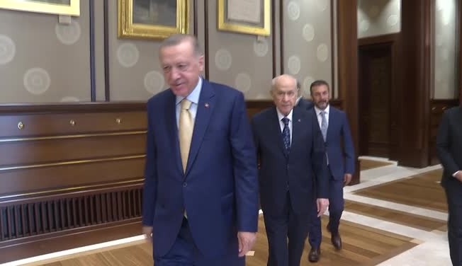 Erdoğan, Bahçeli'yi kabul etti