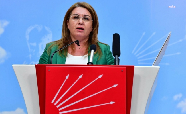 Gülizar Biçer Karaca: Benim veya ailemin başına bir şey  gelirse sorumlusu Erdoğan'dır"