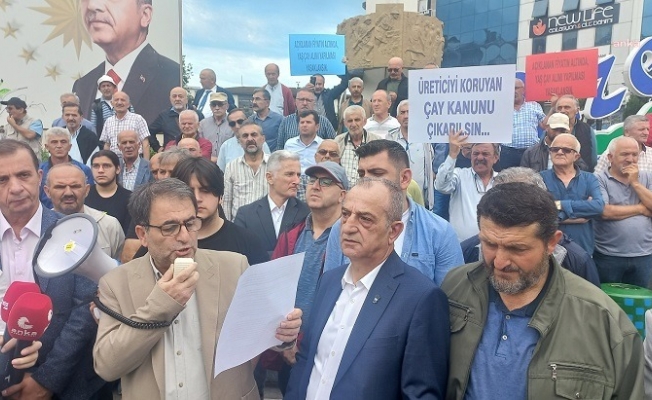 Rize’de üreticiler Çay Kanunu Teklifi’ni protesto etti. "ÇAYKUR'un ve çay üreticilerinin ölüm fermanıdır"