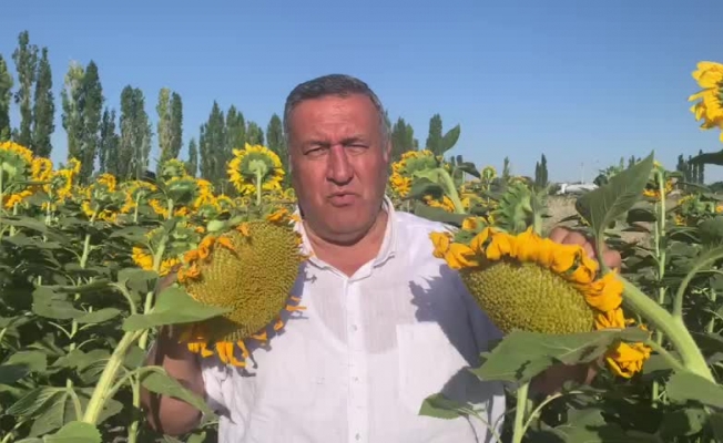 Gürer: "Taban fiyat açıklanmadı"