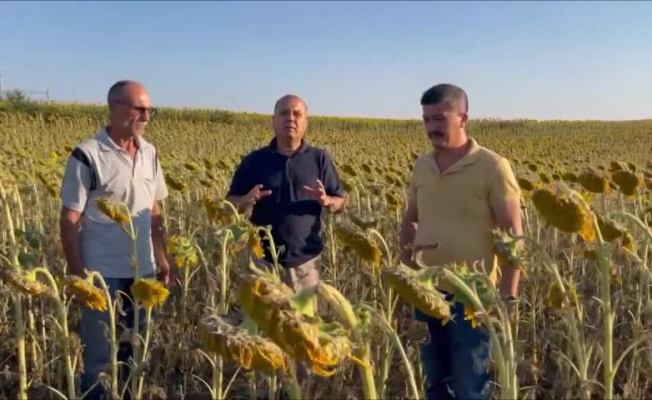 İlhami Özcan Aygun'dan ‘Tırtıl istilası’yla ilgili Bakan Kirişci’ye: “İlaçlama yapan çiftçilerin masraflarını, devletin sübvanse etmesini sağlayacak mısınız?”