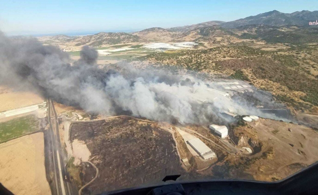 İzmir'de bir yangında Bergama'da çıktı