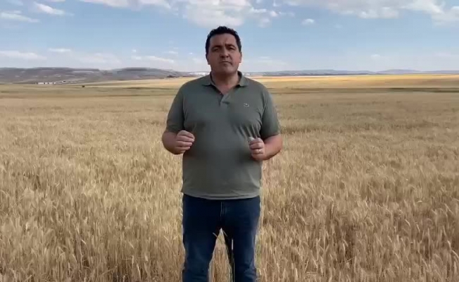 Ulaş Karasu: “TMO'nun buğday teslim tarihini 15 gün ileriye atması gerekmektedir, çiftçilerimiz mağdur olmamalıdır”
