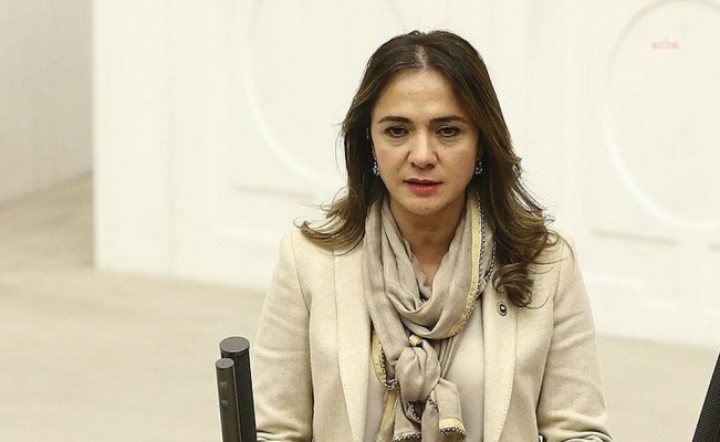 Gamze Akkuş İlgezdi: Veteriner hekim sağlıkçıdır