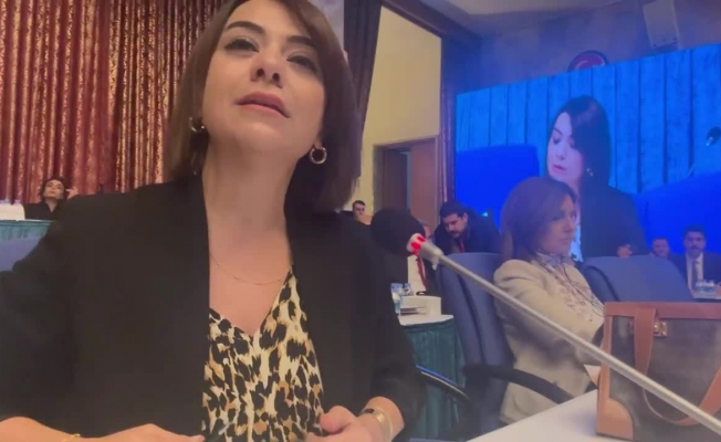 Gamze Taşcıer: “Binalarınız ne güzel Sayın Bakanım; dev gibi, otel gibi; ama bir kusurcuğu var; içinde hekim ister çalışmak için”