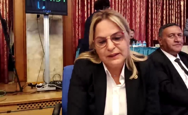 Neslihan Hancıoğlu: 20 yıl önce doğan her bebek 2 bin dolar borçla hayata merhaba diyordu, şimdi her birimizin payına 5 bin 200 dolar borç düşüyor