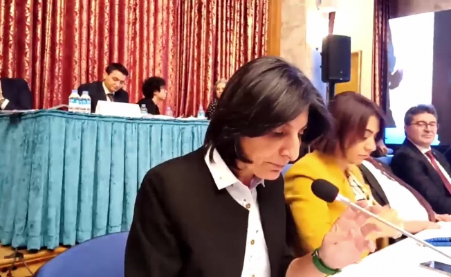 Sibel Özdemir, Bakan Soylu'ya sordu: "381 bin istisnai vatandaş seçmen olacak mı?"