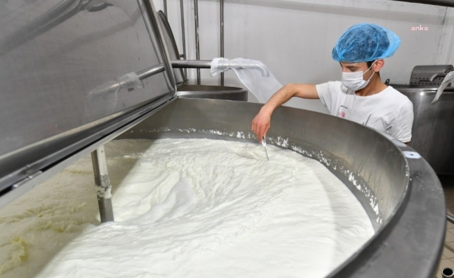 TÜİK: Ticari işletmelerce toplanan süt miktarı eylül ayında 6,1 azaldı