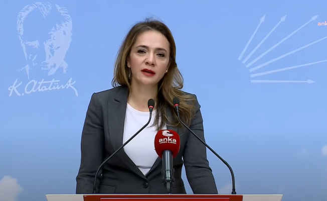 Gamze Akkuş İlgezdi: DÖSİM personeli 22 yıldır 'sanatçı kadrosu' bekliyor, Bakan verdiği sözü tutmuyor