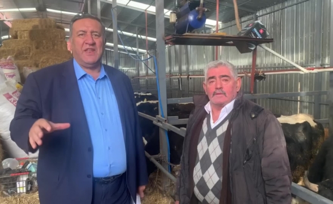 Ömer Fethi Gürer: "Süt inekçiliğinin devam edebilmesi için yem fiyatlarını sübvanse ederek devletin destek vermesi gerekiyor"