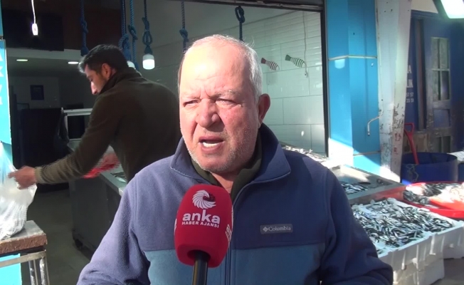 SİNOPLU BALIKÇI: “GEÇEN SENE 25 LİRADAN 80 KASA HAMSİ SATIYORDUM. GEÇEN HAFTA 25 LİRADAN 20 KASA HAMSİ SATAMADIM”