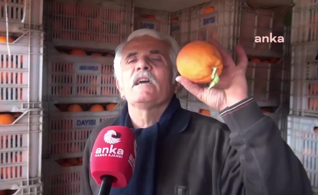 Sinoplu pazarcı: "Ben portakalın 3 kilosunu 45 TL'den sattığım zaman benim karım 4-5 TL, para mıdır bu?"