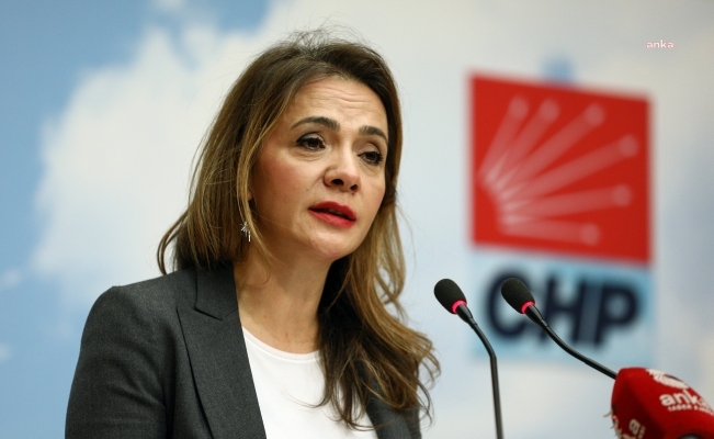 Gamze Akkuş İlgezdi’nin "çocuk gebelik" raporu: 22 yılda 2 milyon 88 bin 925 kız çocuğu doğum yaptı