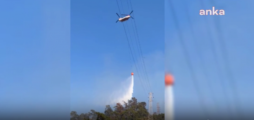 Muğla Valiliği: Marmaris'te Çıkan Orman Yangını Kontrol Altına Alındı