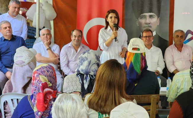Gülcan Kış: "Hükümetin artık Mersin'e bakması gerekiyor"