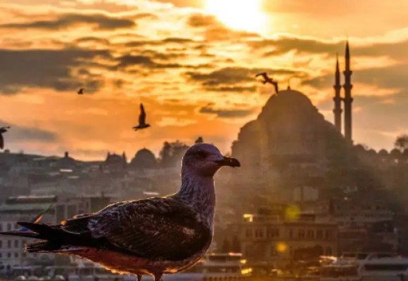 Meteoroloji'den sıcak hava uyarısı