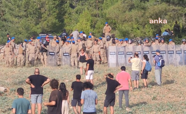 Muğla Valiliği, Akbelen'deki ağaç kesiminin tamamlandığını açıkladı Muğla Valiliği, Akbelen'deki ağaç kesiminin tamamlandığını açıkladı