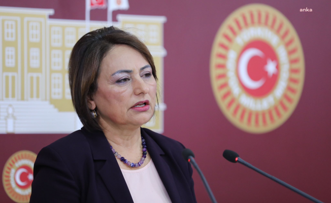 Müzeyyen Şevkin'den bireysel silahlanma için araştırma önergesi