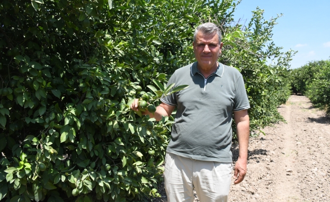 Ayhan Barut limon üreticilerinin sesinin duyulmasını istedi
