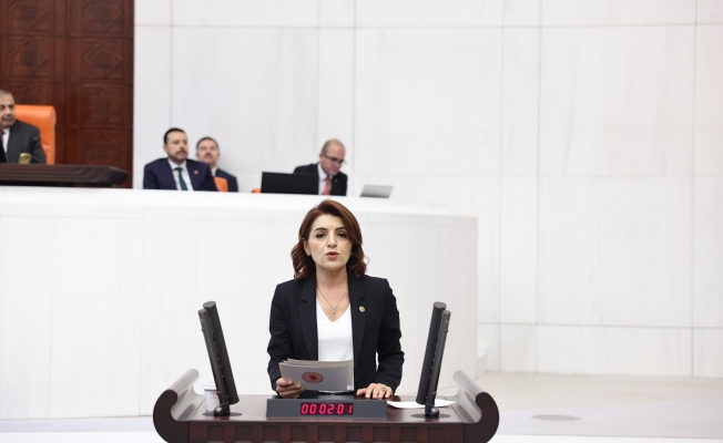 CHP’li Kış: "Bakan Şimşek’in Talimatına Uyan Yok"