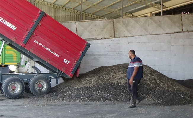 Edirne'li ayçiçek üreticisi: "Her şey yüzde 100 pahalanıyor bizim ürünlerimiz hiç pahalanmıyor"
