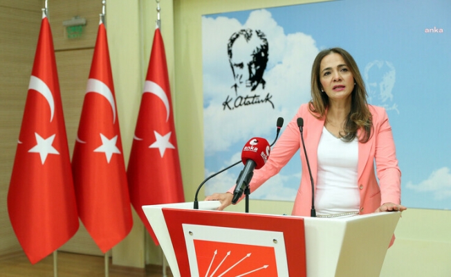 Gamze Akkuş İlgezdi: Cinsel suç mağduru çocuk sayısı 9 yılda yüzde 287 arttı ve 31 bin 890'a ulaştı