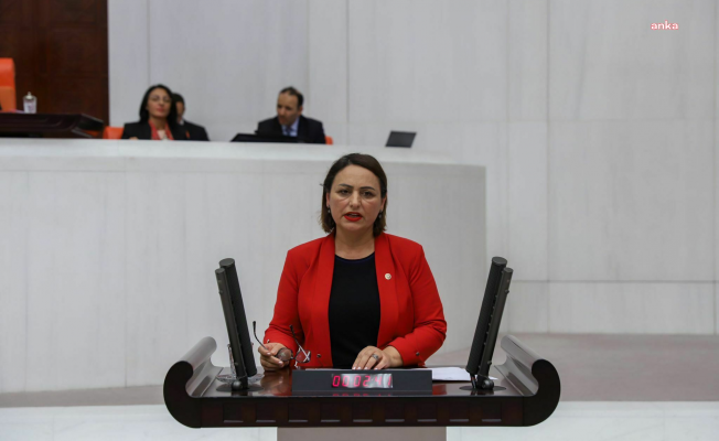 Müzeyyen Şevkin: "9 aylık iş süresinin uzatılma kararı 130 bin TYP’linin tamamını kapsamalıdır"