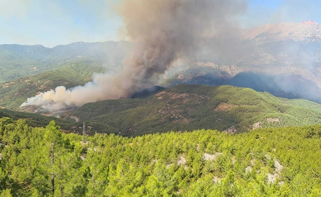 Tarım ve Orman Bakanı Yumaklı: "Alanya'daki orman yangınına 10 uçak, 11 helikopter 54 arazöz 4 İş makinası 363 personel sevk edildi"