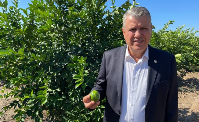 Ayhan Barut, "Limon dalında 2 lira, markette 20 lira"