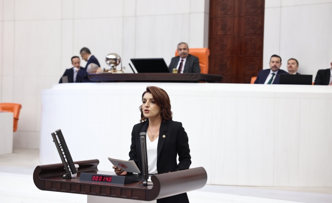 CHP’li Kış sağlıkta şiddeti TBMM gündemine taşıdı