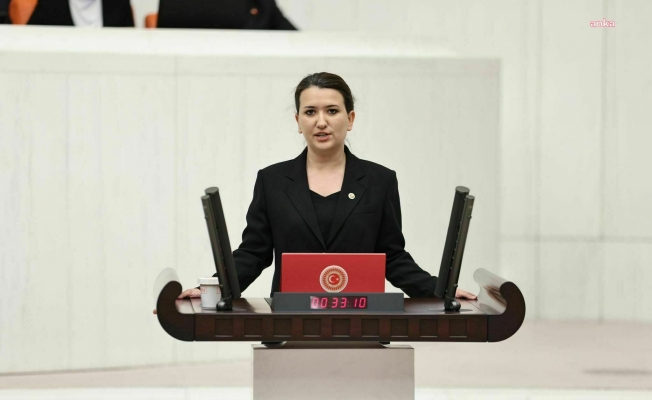 CHP Genel Başkan Yardımcısı Gökçen: "Ankara İl Milli Eğitim Müdürlüğü’nce ÇEDES Projesi için hazırlanan planın detayları nelerdir?”