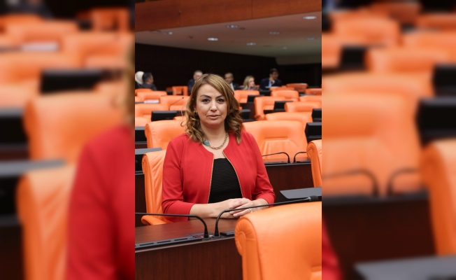 Kara: Yıllık Program Narenciye Konusunda Eksik