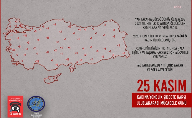 Türkiye'de son 10 ayda 348 kadın cinayeti işlendi