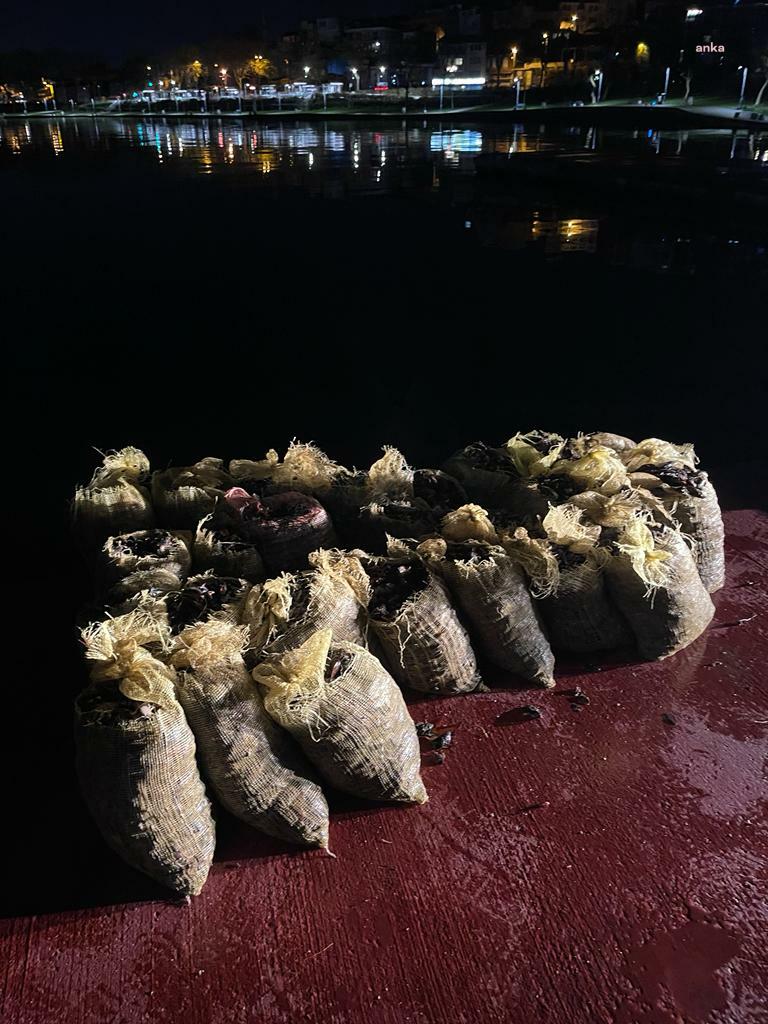 Sarıyer'de 4,5 ton kaçak midye ele geçirildi