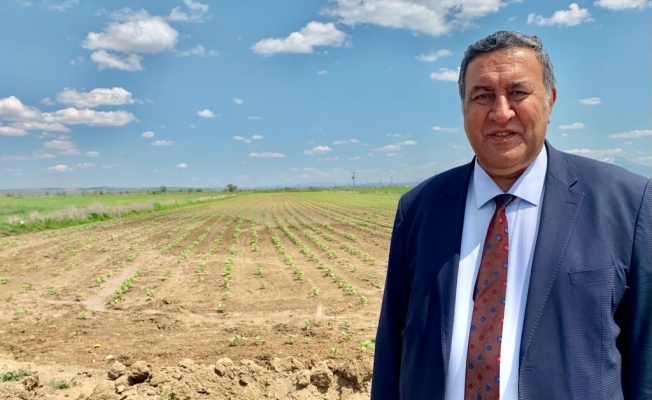 Gürer: “Verimli tarım arazilerinin yabancılara satışı sınırlandırılmalıdır”