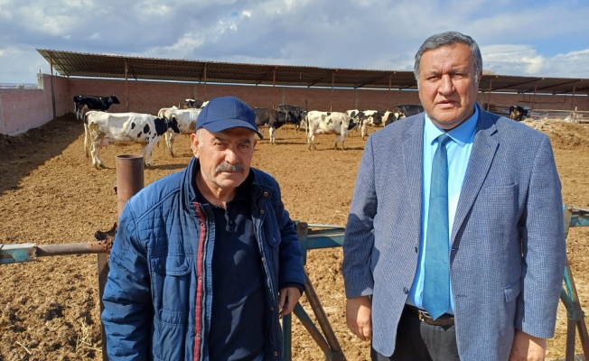 Gürer: “Hayvancılıkta küçük aile tipi işletmeler tükeniyor”