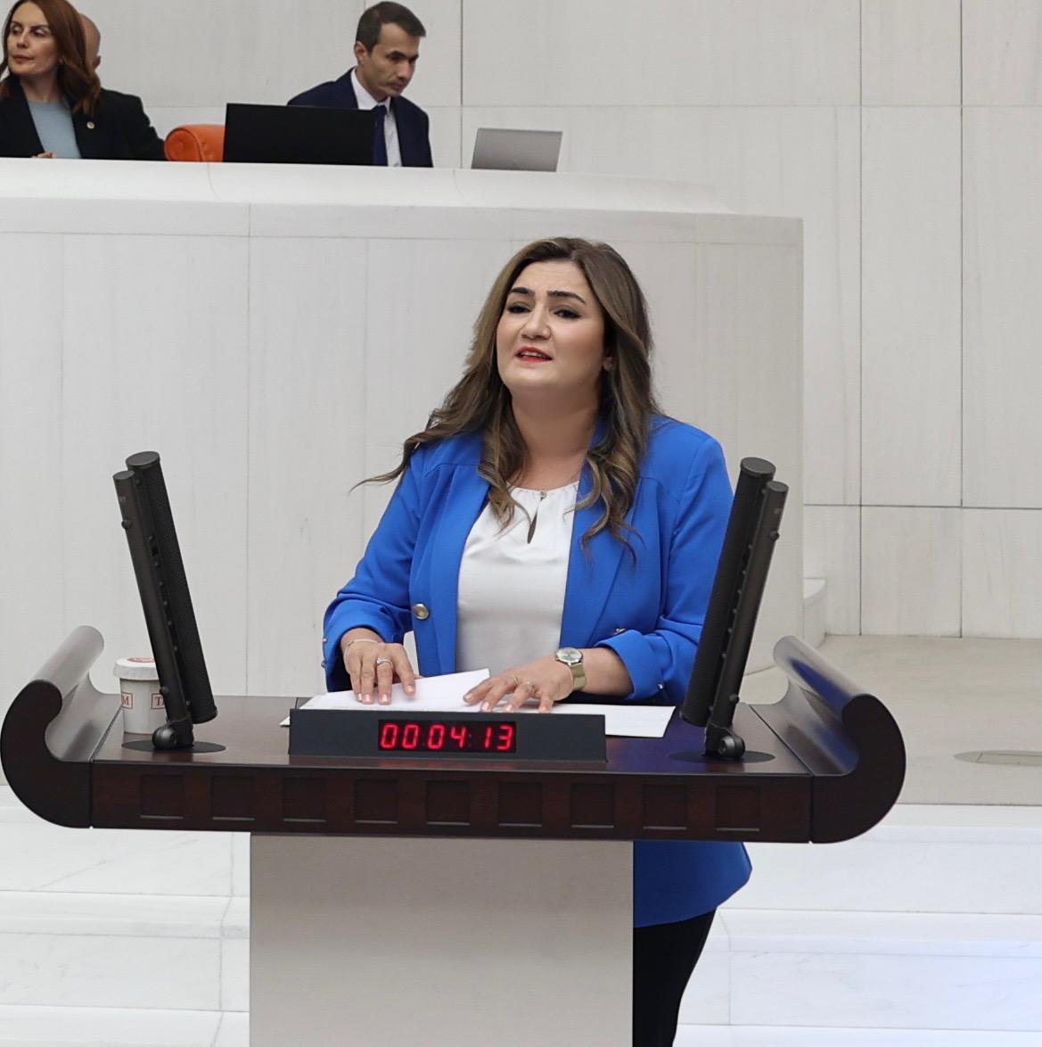 CHP’li Kılıç: TBMM’de  Roman Dosyasını Açtı