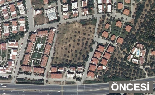 CHP’li Sarı:, Vakıflar Genel Müdürlüğü Rant ve Beton Uğruna Zeytin Ağacı Katletti CHP’li Sarı:, Vakıflar Genel Müdürlüğü Rant ve Beton Uğruna Zeytin Ağacı Katletti