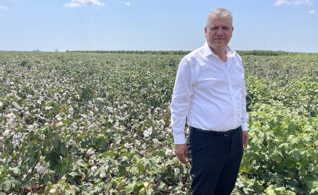 Ayhan Barut: "Pamuk Fiyatı En Az 30 Lira Üstünde Olmalıdır"