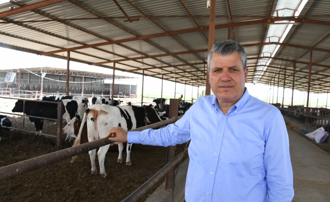 Ayhan Barut: "İnekler Kesime Gidiyor, İçecek Süt Bulamayacağız"