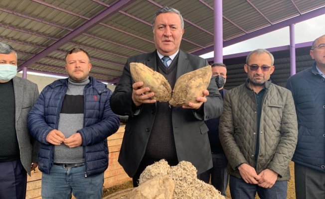 Gürer: “2024 Yılının İlk 10 Ayında 145 Bin Ton Şeker İthal Edildi”