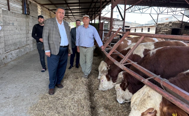 Gürer: “Çiftçilerin Borcu 1 Ayda 27 Milyar TL Arttı” Gürer: “Çiftçilerin Borcu 1 Ayda 27 Milyar TL Arttı”