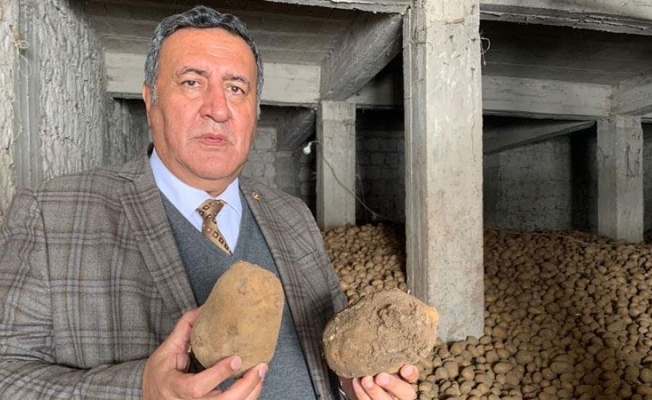 Gürer: “İktidar Patatesin Çuval Boyu İle Uğraşacağına Patates Nasıl Kurtulacak Ona Baksın”