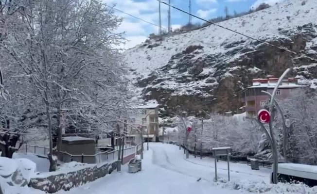 Van'da kar yağışı nedeniyle 493 yerleşim yeri ulaşıma kapandı
