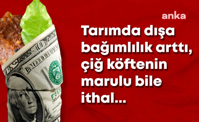 Artık Çiğ Köftenin de Marulu, Biberi, Bulguru, Yağı İthal... Tarıma Destek 135 Milyar, İthalata 812 Milyar TL