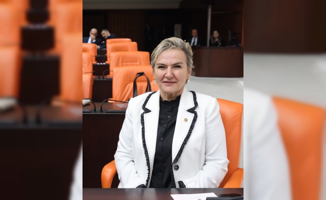 CHP’li İstanbul Mv. Nimet Özdemir Kırmızı Et Sektöründeki Kayıt Dışı Ekonomiyi TBMM Gündemine Taşıdı