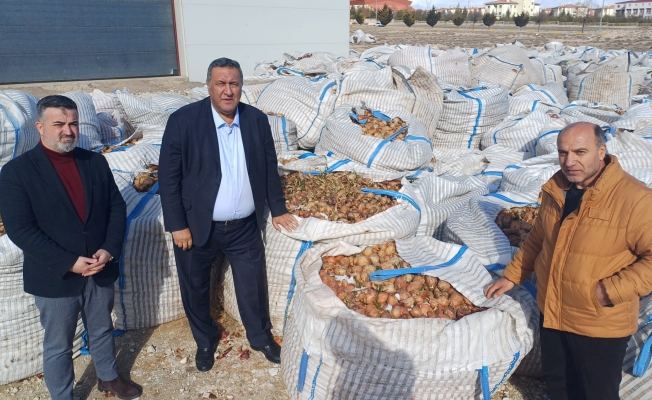 Gürer: “Vatandaş Soğanın Kilosunu 20 Liraya Alırken Tonlarca Soğan Hayvan Yemi Oldu