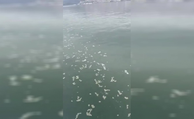 Çevre, Şehircilik ve İklim Değişikliği Bakanlığı: İzmir Körfezi'nde Kirliliği Neden Olan Firmaya 8,3 Milyon TL Ceza Uygulandı