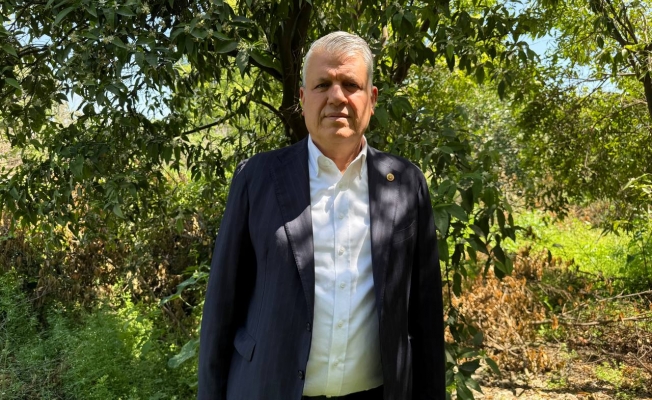 Ayhan Barut: "Limon İhracatına Yasak, Çiftçinin Ölüm Fermanıdır"